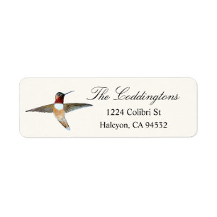 Rufous Hummingbird Returadress Etikett