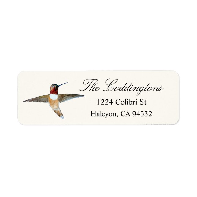 Rufous Hummingbird Returadress Etikett (Framsidan)