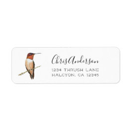Rufous Hummingbird Return-adressetikett Returadress Etikett