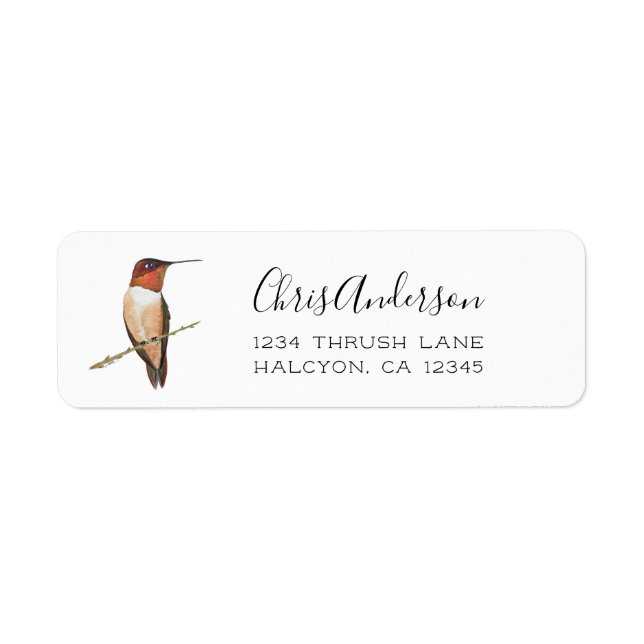 Rufous Hummingbird Return-adressetikett Returadress Etikett (Framsidan)