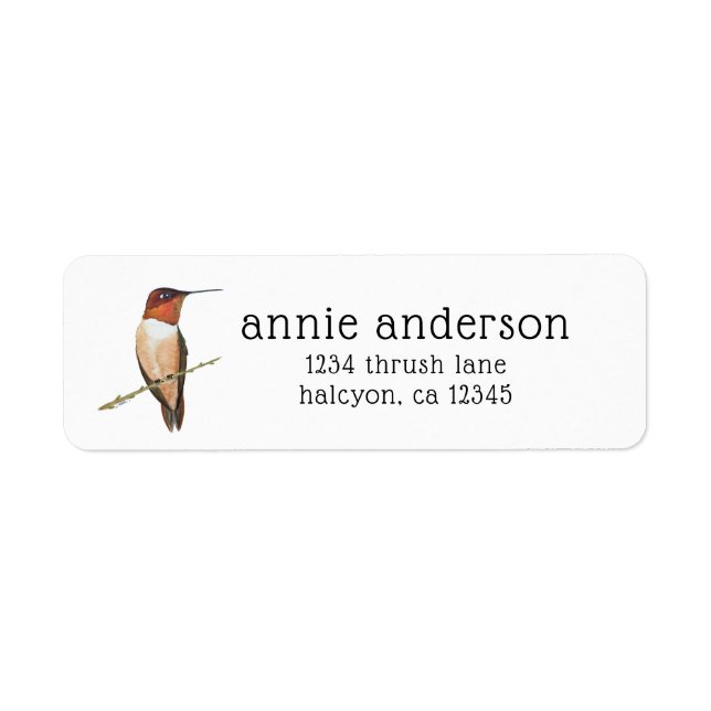 Rufous Hummingbird Return-adressetikett Returadress Etikett (Framsidan)