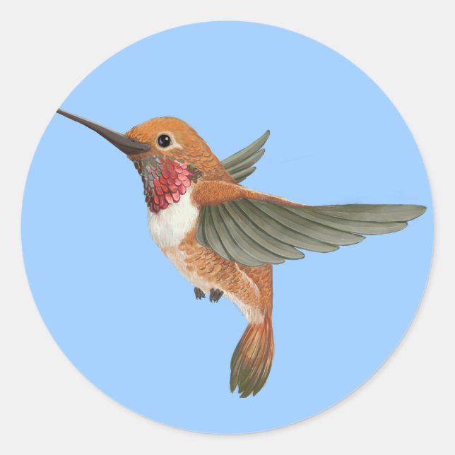 Rufous Hummingbird Runt Klistermärke (Framsida)