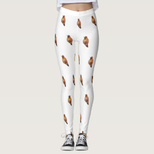 Rufous Hummingbird (Selasphorus rufus) Leggings