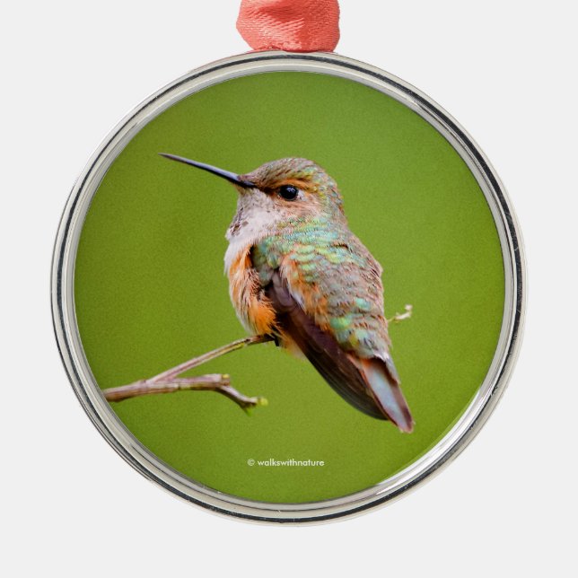 Rufous Hummingbird Sitta i Kalifornien Lilac Julgransprydnad Metall (Framsidan)