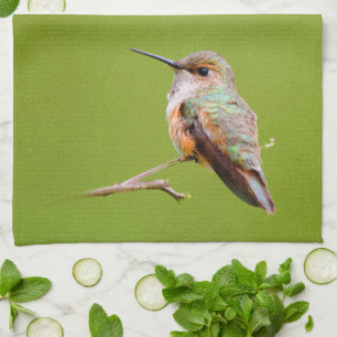 Rufous Hummingbird Sitta i Kalifornien Lilac Kökshandduk