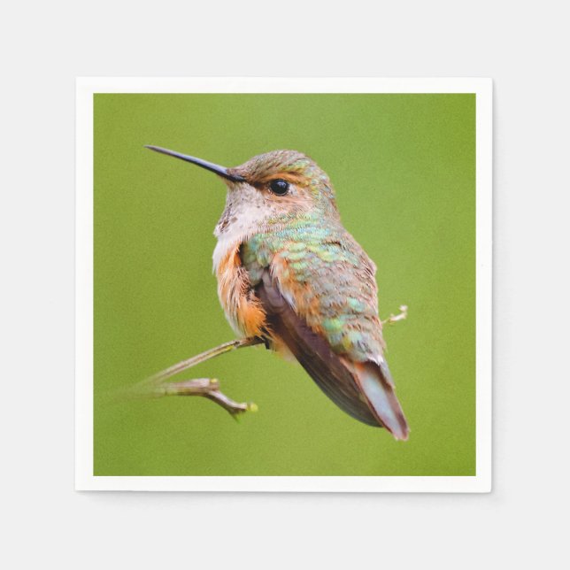 Rufous Hummingbird Sitta i Kalifornien Lilac Pappersservett (Framsidan)