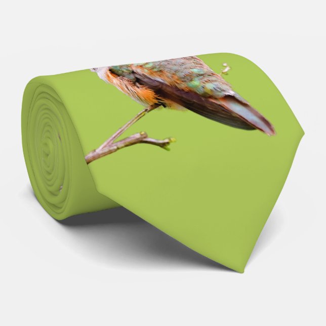 Rufous Hummingbird Sitta i Kalifornien Lilac Slips (Rullad)