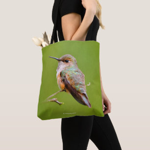 Rufous Hummingbird Sitta i Kalifornien Lilac Tygkasse