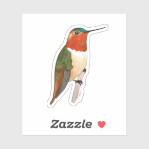 Rufous Hummingbird Sticker Klistermärken