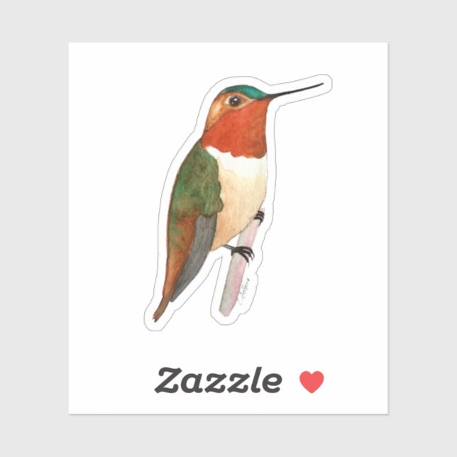 Rufous Hummingbird Sticker Klistermärken (Ark)