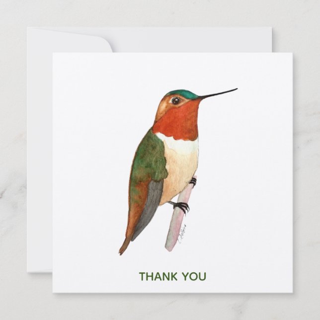 Rufous Hummingbird Tack Kort (Framsida)