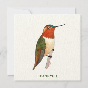 Rufous Hummingbird Tack Kort