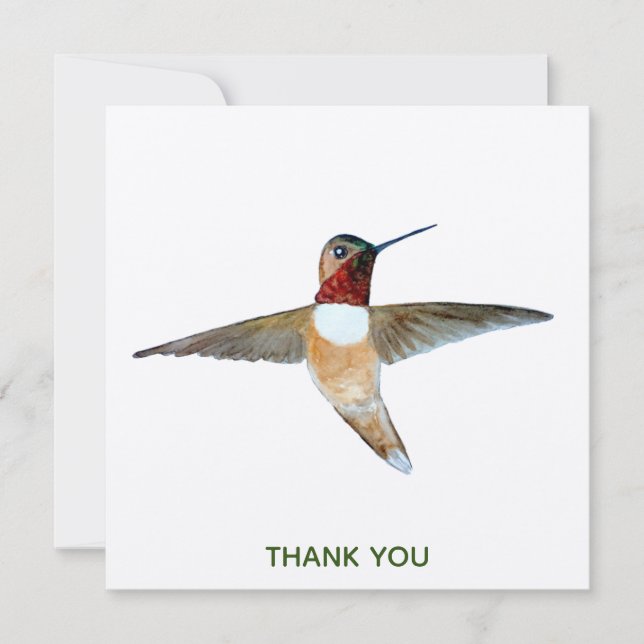 Rufous Hummingbird Tack Kort (Framsida)