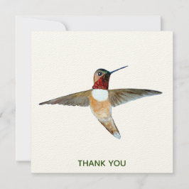 Rufous Hummingbird Tack Kort