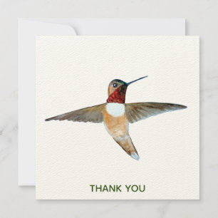 Rufous Hummingbird Tack Kort
