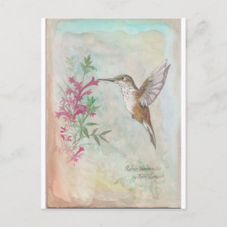 Rufous Hummingbird Vykort
