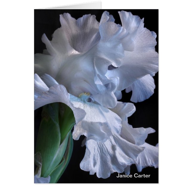 Rufsar OBS Kort (Framsidan)