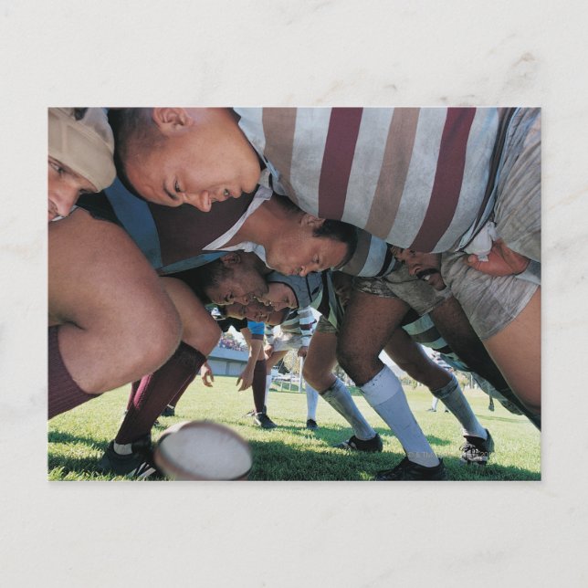 Rugby Union Players in a Scrum Vykort (Framsida)