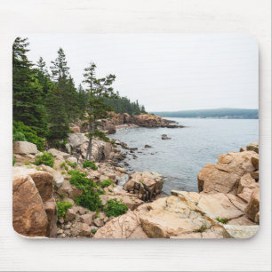 Ruged Maine kusten i Acadia nationalpark Musmatta