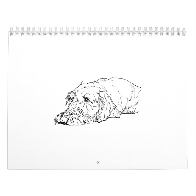 Ruhårig Dachshund 2027 Kalender (Omslag)
