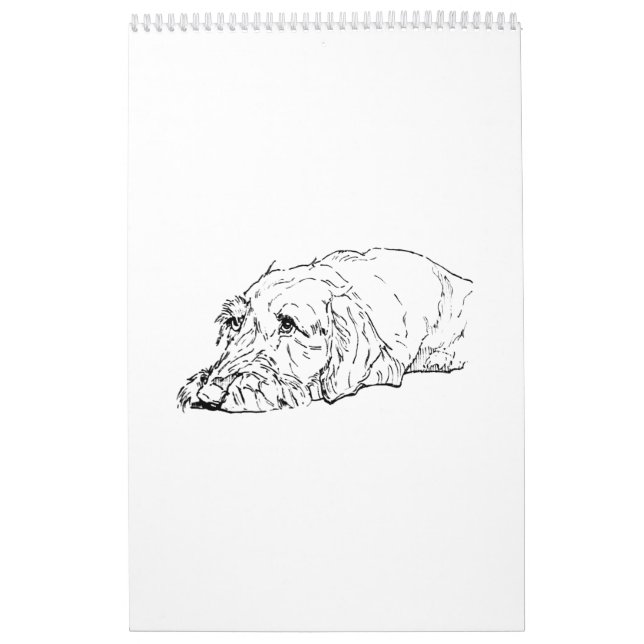 Ruhårig Dachshund 2027 Kalender (Omslag)