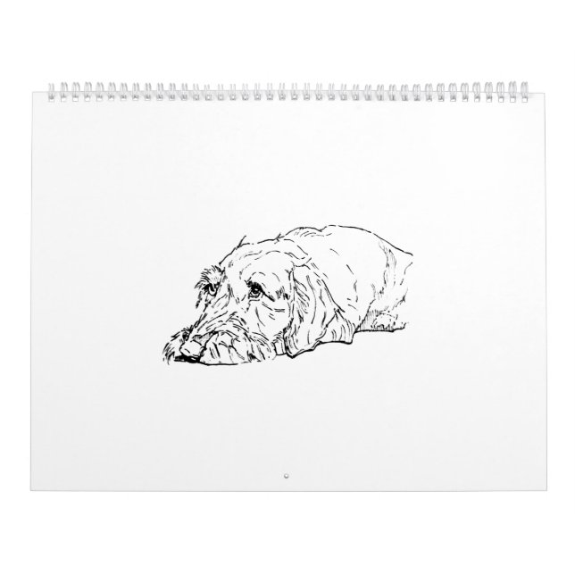 Ruhårig Dachshund 2027 Kalender (Omslag)