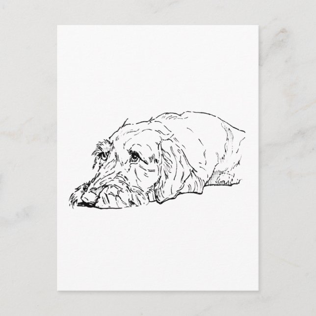 Ruhårig Dachshund Konst - Söt Vykort (Framsida)