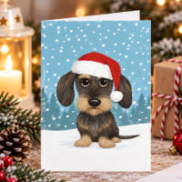 Ruhårig Dachshund Tomte Teckel Hund Jul