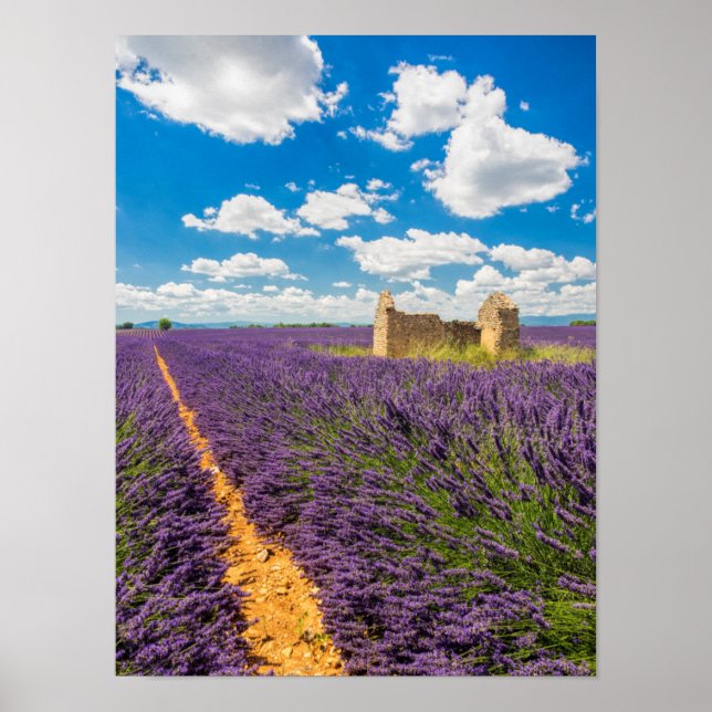 Ruin i Lavender Fält, Frankrike Poster (Framsidan)