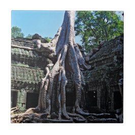 Ruin of Ta Prohm - Angkor Wat, Kambodja, Asien Kakelplatta