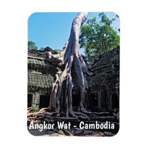 Ruin of Ta Prohm - Angkor Wat, Kambodja, Asien Magnet