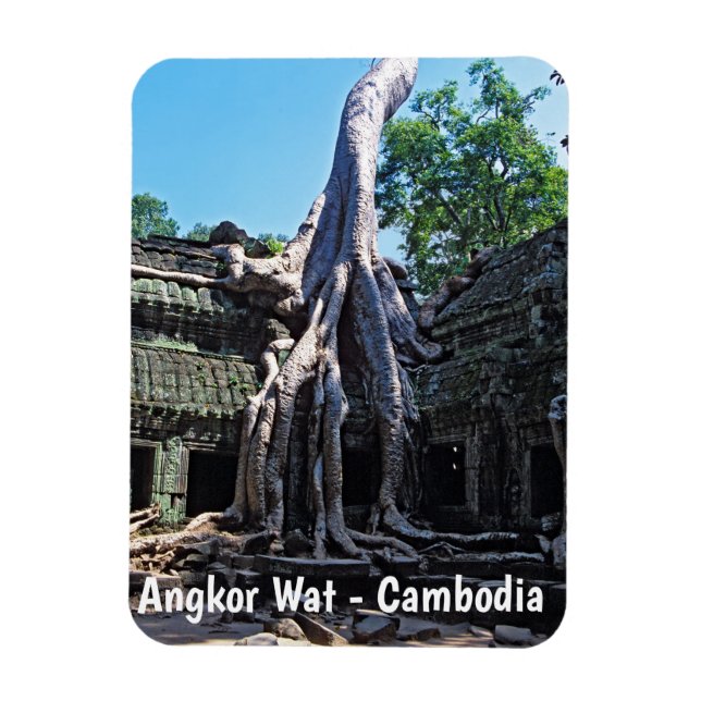 Ruin of Ta Prohm - Angkor Wat, Kambodja, Asien Magnet (Vertikal)