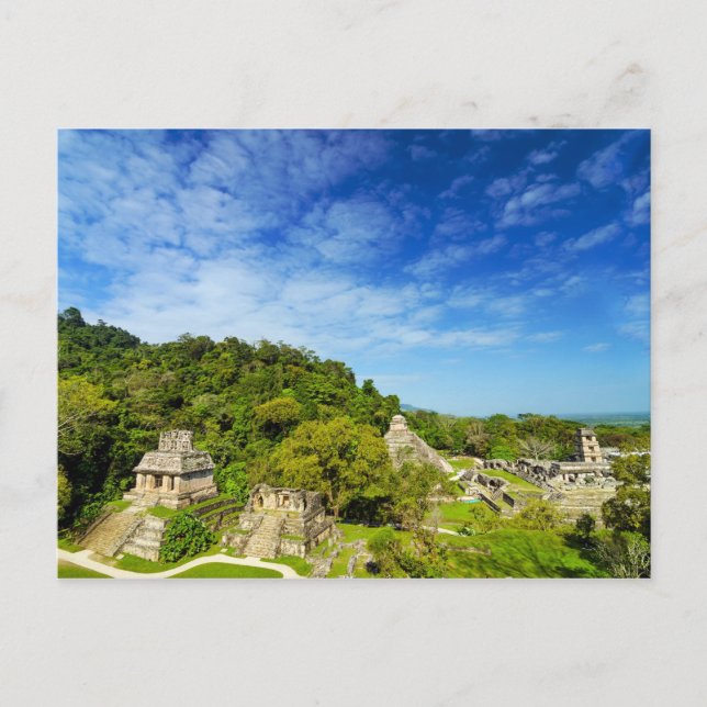 Ruinas en Palenque, Mexiko Vykort (Framsida)