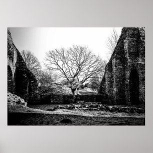 Ruins Poster