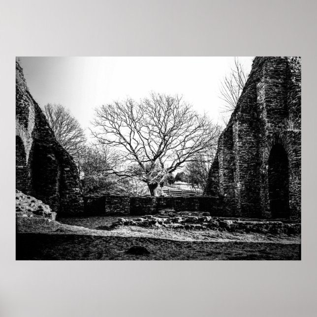 Ruins Poster (Framsidan)