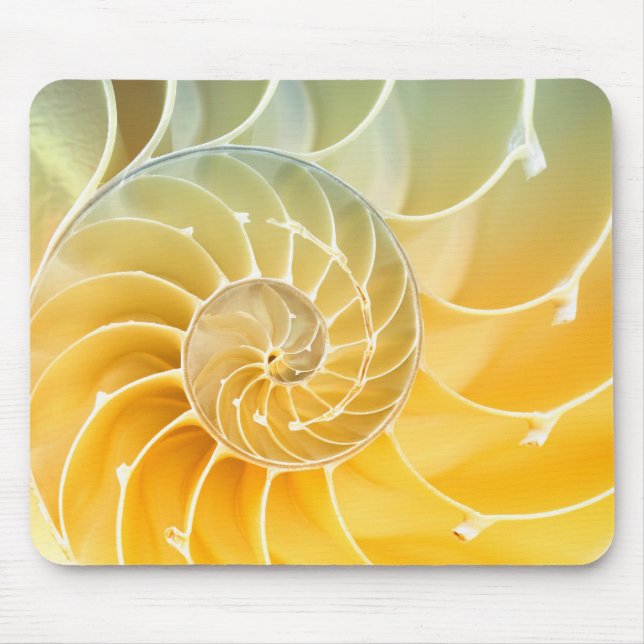 rulla musmatta (Framsidan)