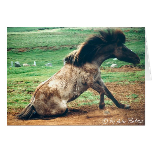 rulla omkring 2 hälsningskort (Framsidan Horizontal)