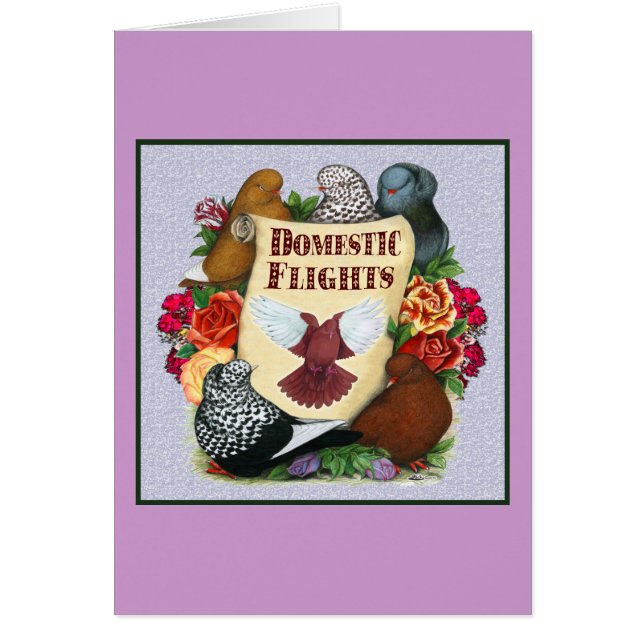 Rullan domestic Flight OBS Kort (Framsidan)