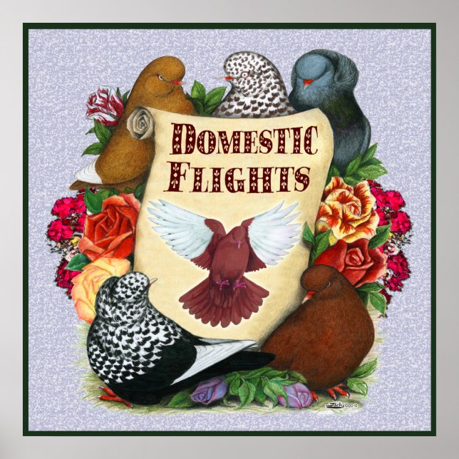 Rullan domestic Flight Poster (Framsidan)