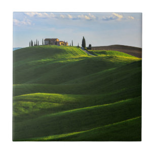 Rullande backe nära Asciano, Tuscany Kakelplatta