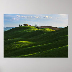 Rullande backe nära Asciano, Tuscany Poster