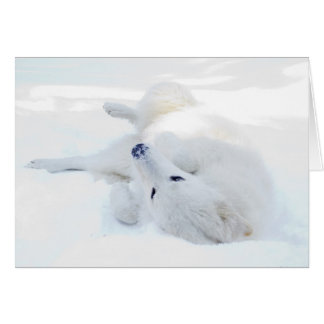 Rullande i snön hälsningskort