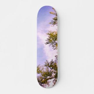 RULLBRÄDA STIL OCH DESIGN MINI SKATEBOARD BRÄDA 18,5 CM