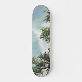 RULLBRÄDA STIL OCH DESIGN MINI SKATEBOARD BRÄDA 18,5 CM