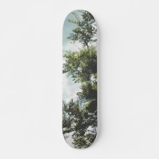RULLBRÄDANS STIL OCH DESIGN MINI SKATEBOARD BRÄDA 18,5 CM