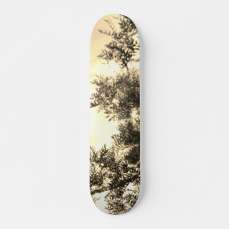 RULLBRÄDANS STIL OCH DESIGN MINI SKATEBOARD BRÄDA 18,5 CM