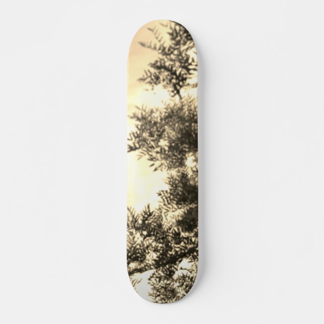 RULLBRÄDANS STIL OCH DESIGN MINI SKATEBOARD BRÄDA 18,5 CM (Framsida)