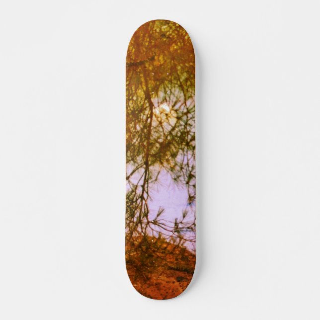 RULLBRÄDANS STIL OCH DESIGN MINI SKATEBOARD BRÄDA 18,5 CM (Framsida)