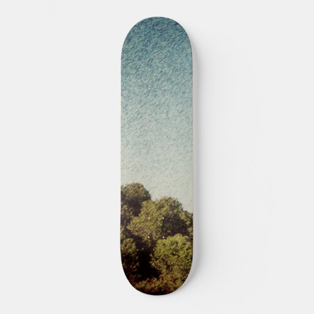 RULLBRÄDESTIL OCH DESIGN MINI SKATEBOARD BRÄDA 18,5 CM (Framsida)