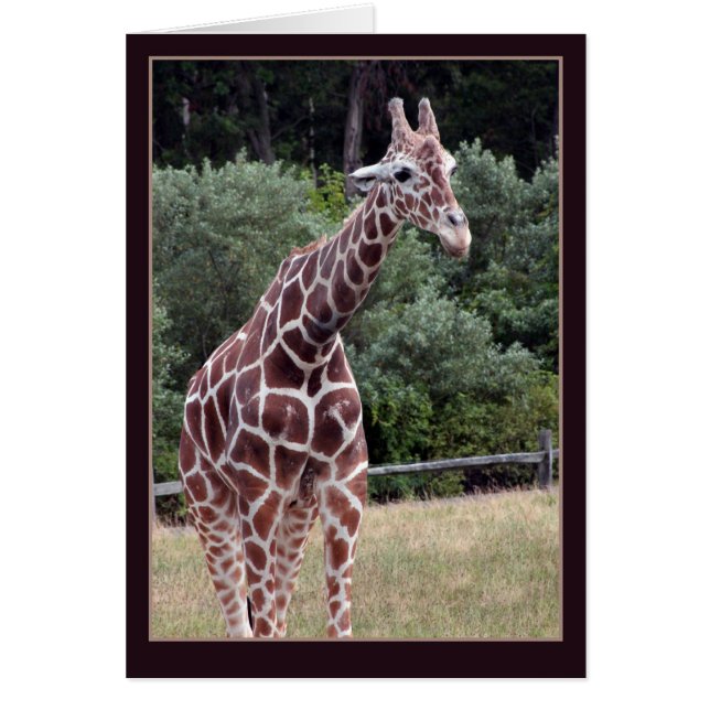 rullning' hälsningskort (Framsidan)